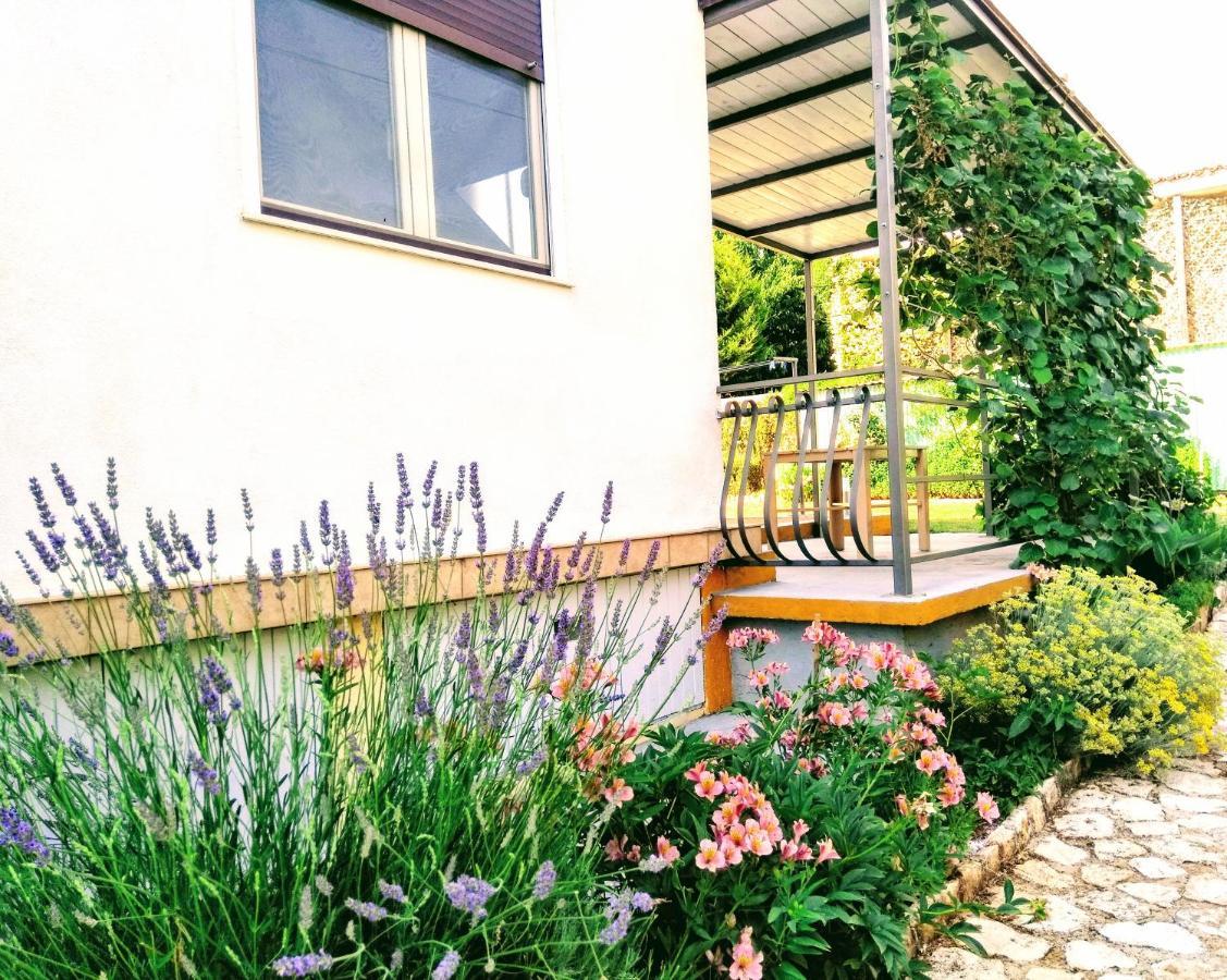 Apartments And Room Markovic Rovinjsko Selo Zewnętrze zdjęcie