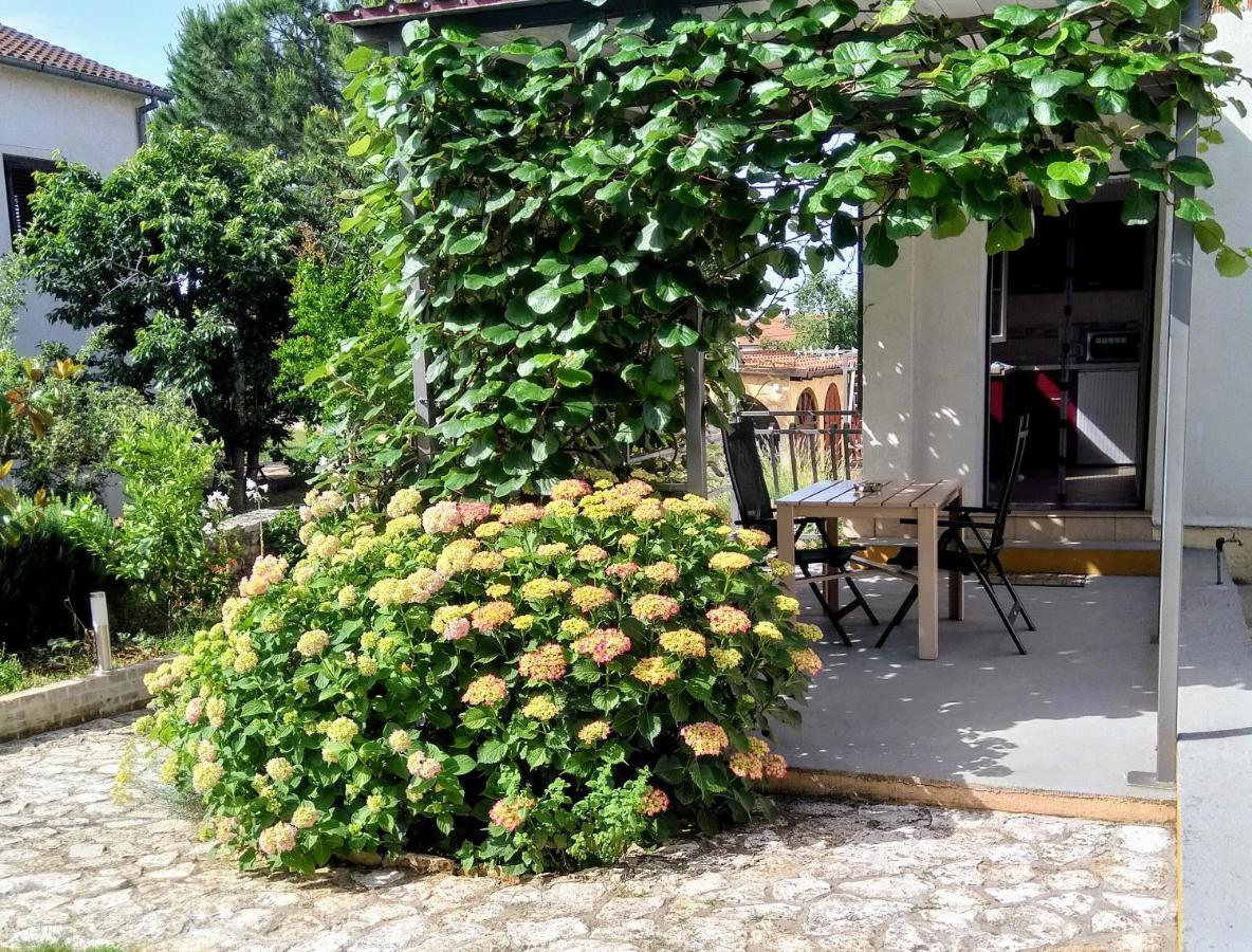 Apartments And Room Markovic Rovinjsko Selo Zewnętrze zdjęcie