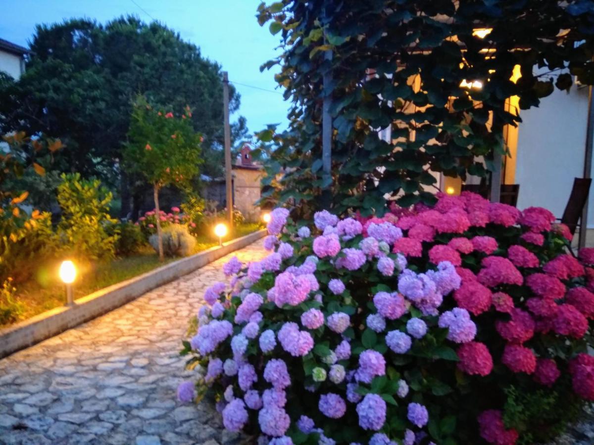 Apartments And Room Markovic Rovinjsko Selo Zewnętrze zdjęcie