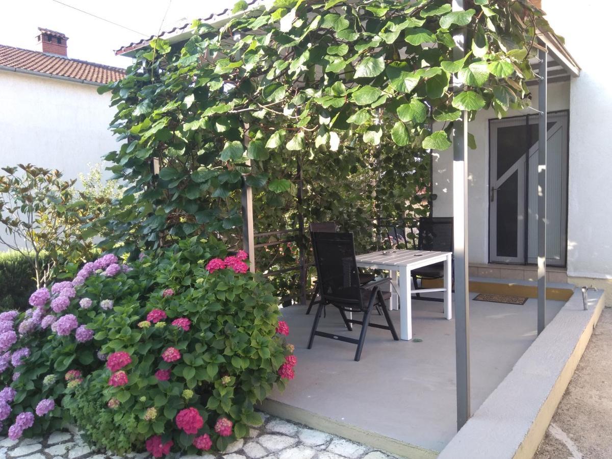 Apartments And Room Markovic Rovinjsko Selo Zewnętrze zdjęcie