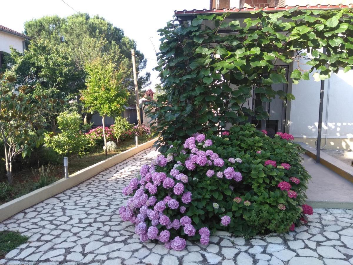 Apartments And Room Markovic Rovinjsko Selo Zewnętrze zdjęcie