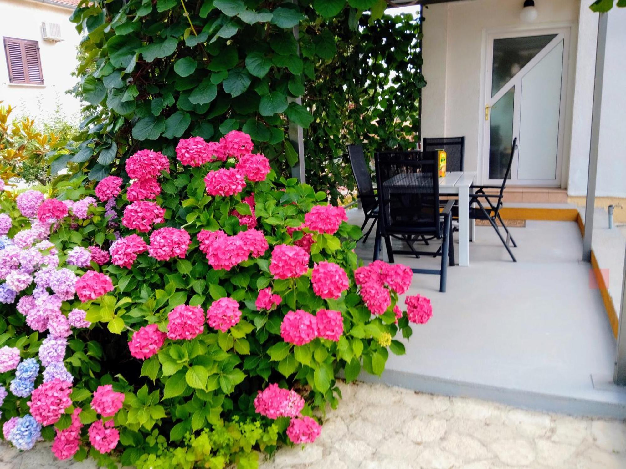 Apartments And Room Markovic Rovinjsko Selo Zewnętrze zdjęcie
