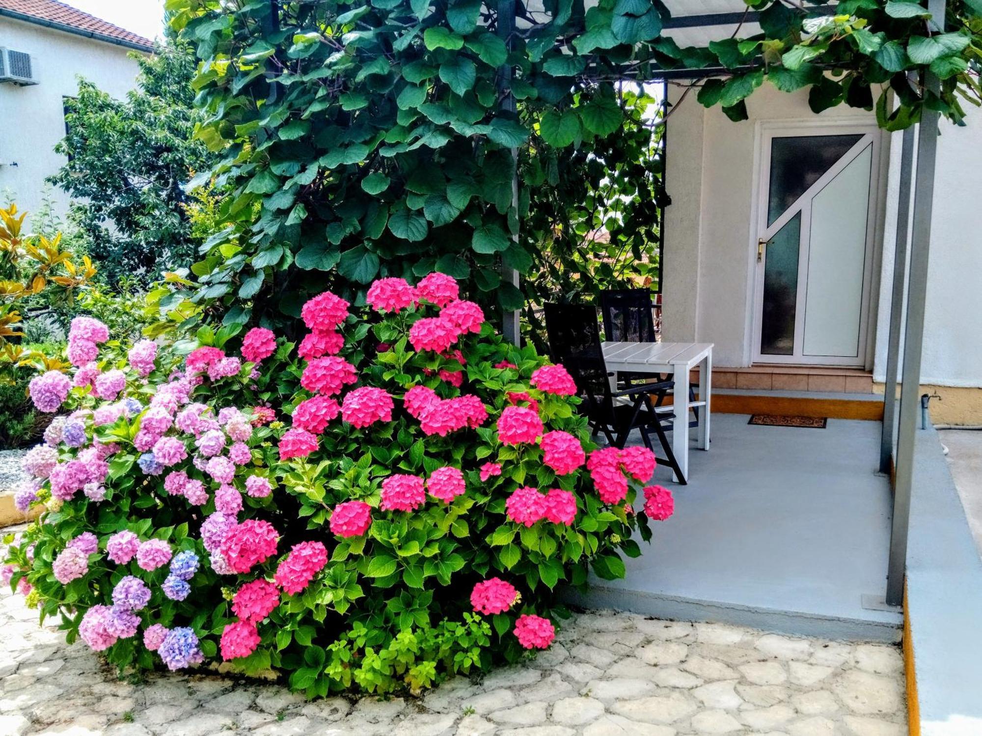 Apartments And Room Markovic Rovinjsko Selo Zewnętrze zdjęcie