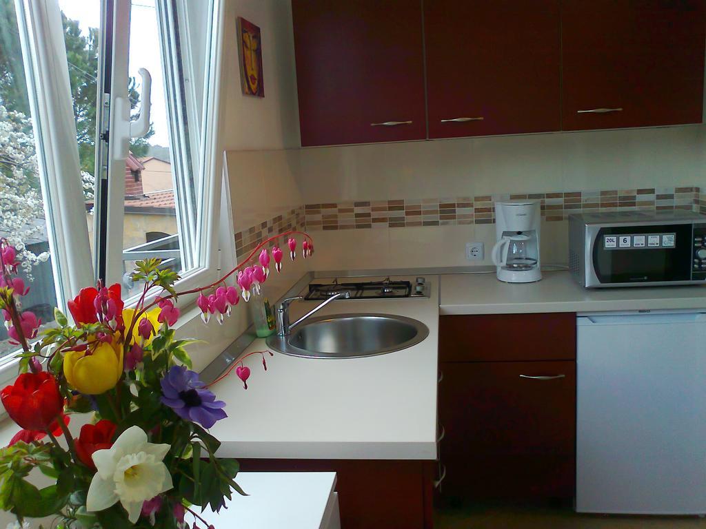 Apartments And Room Markovic Rovinjsko Selo Zewnętrze zdjęcie