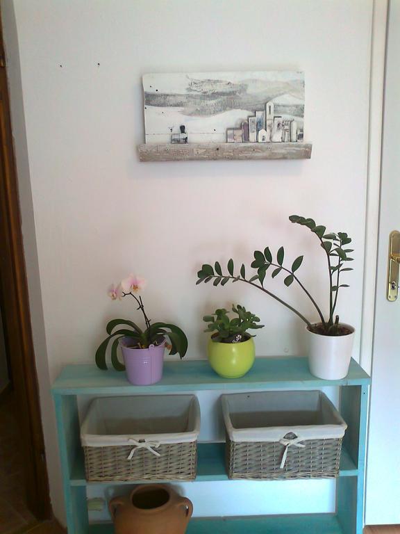 Apartments And Room Markovic Rovinjsko Selo Zewnętrze zdjęcie