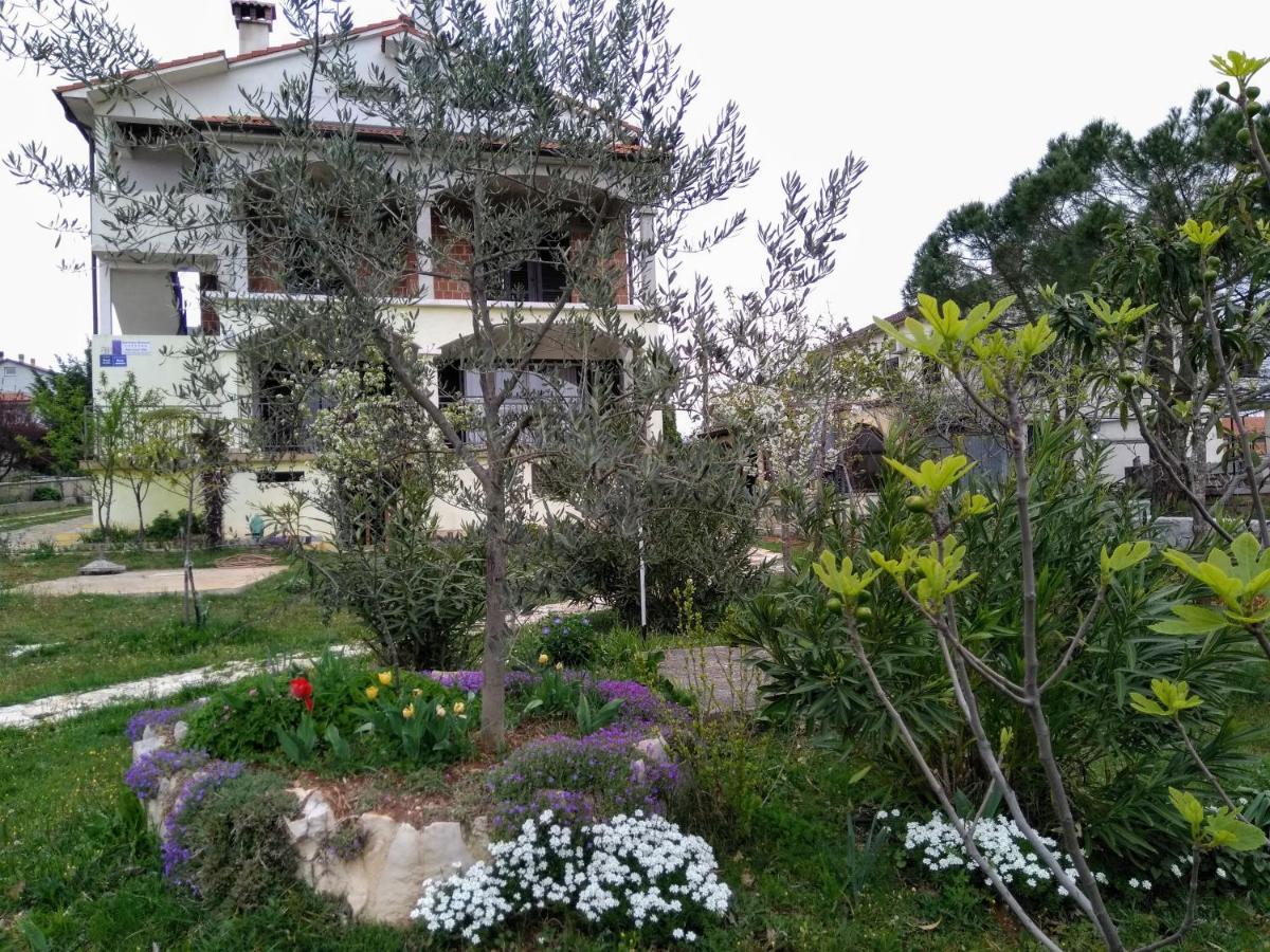 Apartments And Room Markovic Rovinjsko Selo Zewnętrze zdjęcie